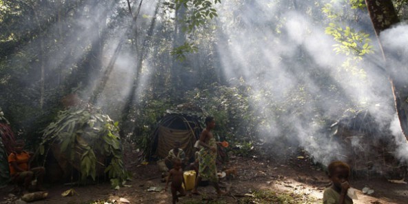 Afrique: une initiative pour restaurer 100 millions d'hectares de forêts d'ici 2030 - ảnh 1