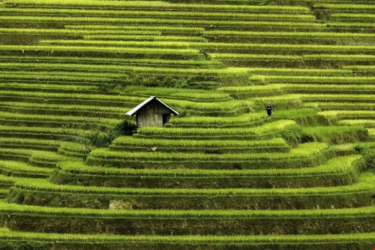 Réhahn Croquevielle: le Vietnam du Nord au Sud - ảnh 2