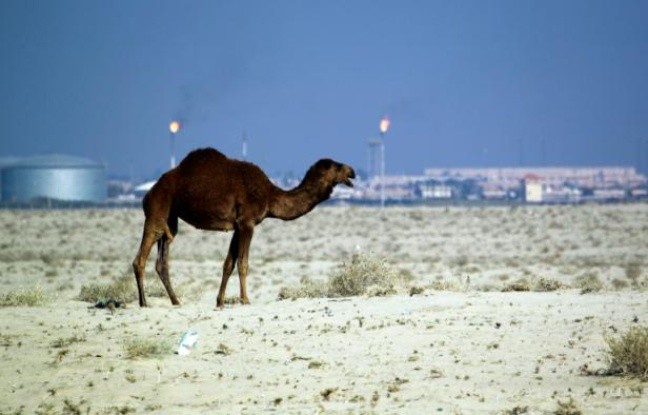 Irak: 26 personnes enlevées lors d’une partie de chasse qatarie - ảnh 1