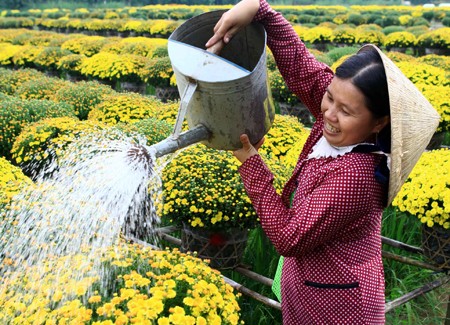 7ème conférence du comité central de l’Union des femmes vietnamiennes - ảnh 1