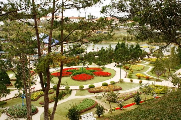 Dalat, capitale des fleurs - ảnh 1