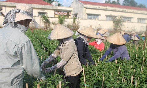 Les floralies de Đồng Nai sont prêtes pour le Têt - ảnh 1