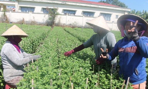 Les floralies de Đồng Nai sont prêtes pour le Têt - ảnh 12