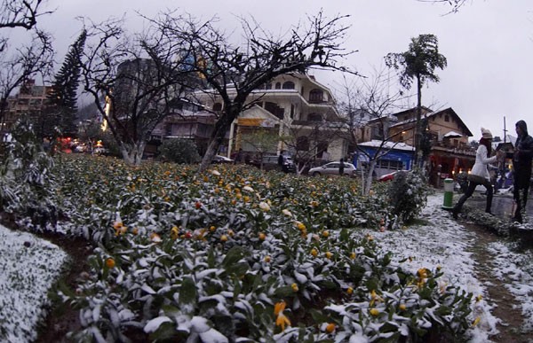 Neige apparue dans plusieurs localités du Nord - ảnh 1