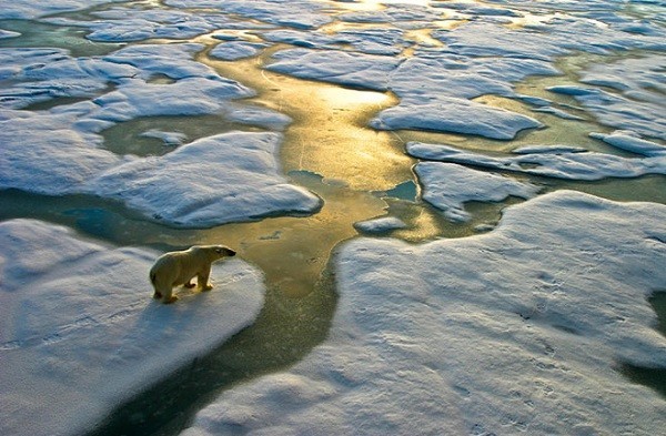 Le changement climatique: premier risque mondial en 2016 - ảnh 1