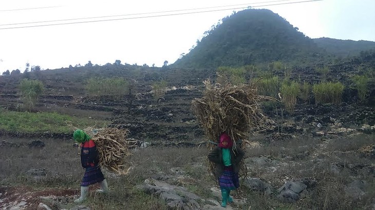 Les habitants de Meo Vac face au froid inhabituel - ảnh 6