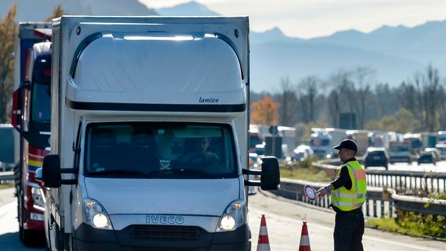 L’Allemagne a besoin de 2000 policiers de plus pour contrôler ses frontières - ảnh 1