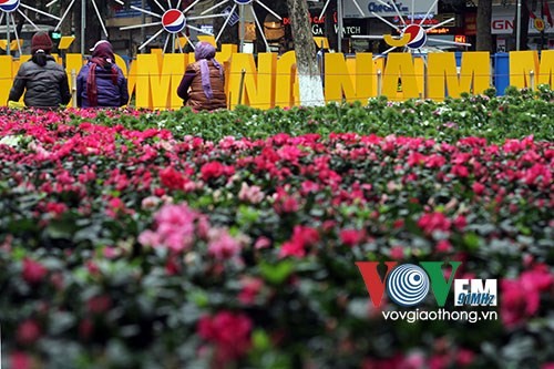 Hanoi accueille le printemps dans l’effervescence - ảnh 1