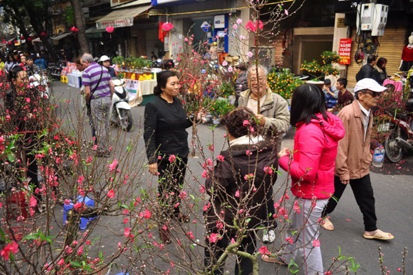 Hanoi accueille le printemps dans l’effervescence - ảnh 2