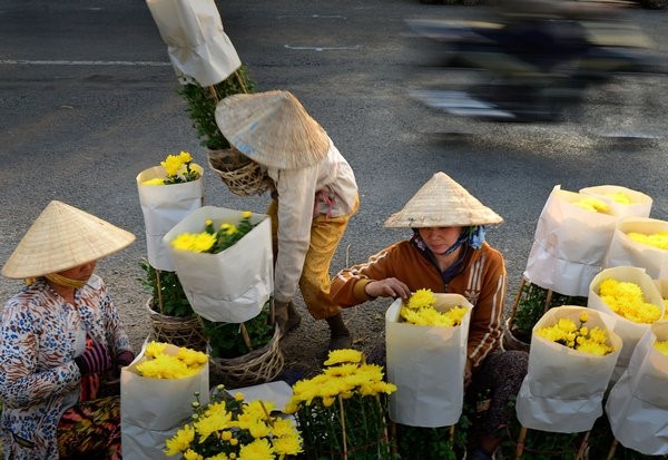 Le Tet au village horticole de Sa Đéc - ảnh 5