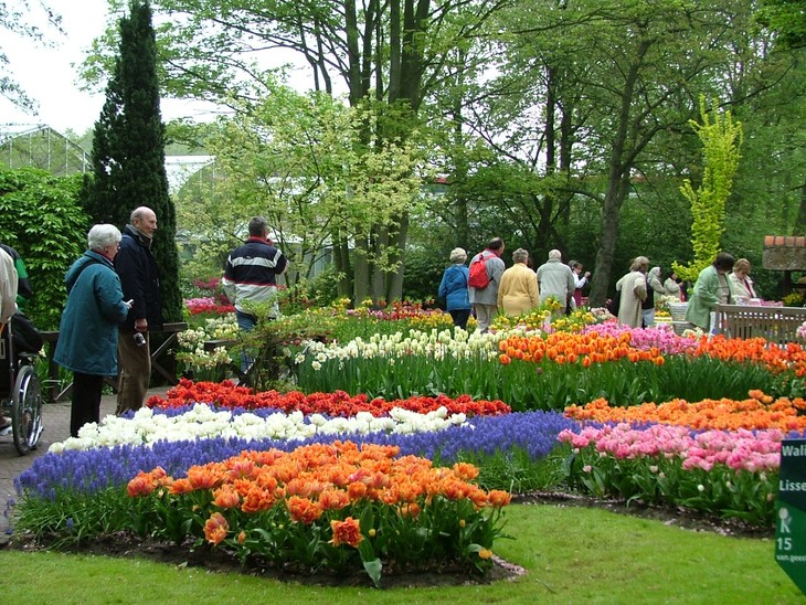 Le parc municipal de Dalat, le rendez-vous de mille fleurs - ảnh 1