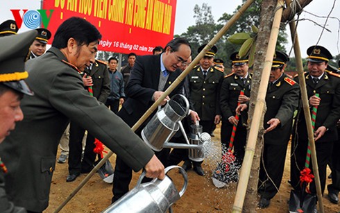 Fêtes de plantation d’arbres dans différentes localités - ảnh 1