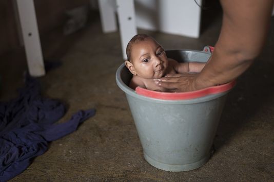 La Banque mondiale annonce un fonds pour combattre l'épidémie de Zika - ảnh 1