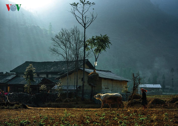 Le printemps est revenu à Lung Cu, à l’extrême-nord du Vietnam - ảnh 3