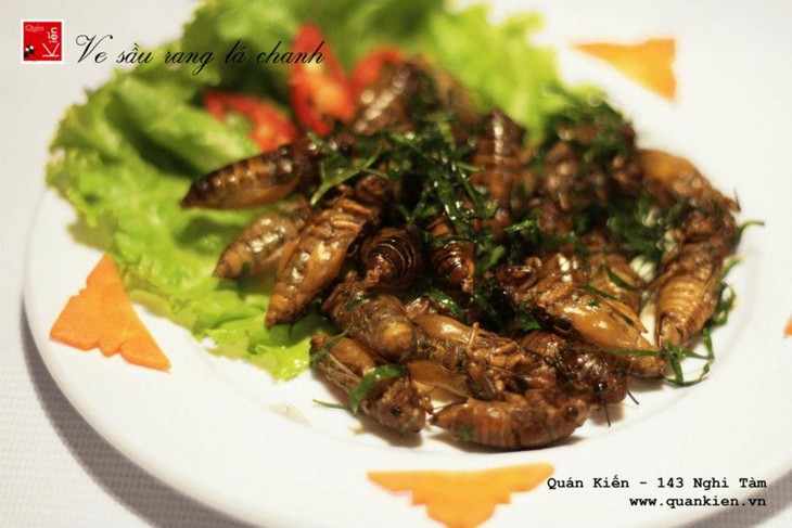 Quán kiến, le restaurant qui fera de vous un insectivore - ảnh 4