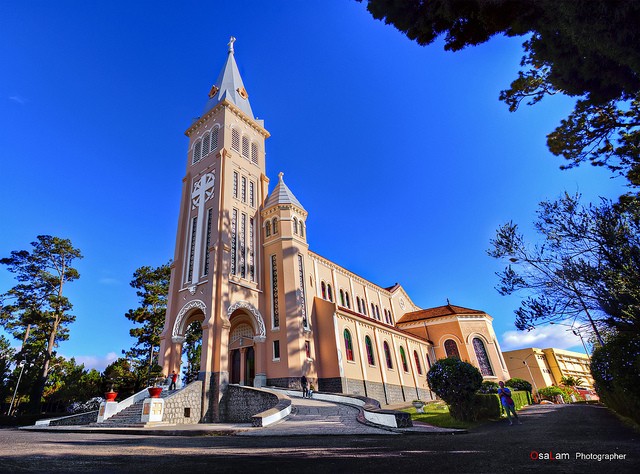 Deux magnifiques cathédrales à Dalat - ảnh 1