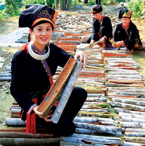 Le cannelier, « l’arbre de vie » des Dao de Yên Bai - ảnh 5