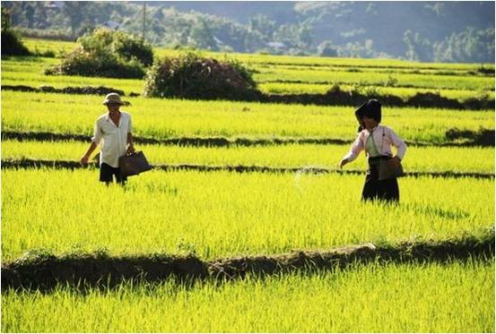 Mobiliser les ressources pour développer les régions montagneuses - ảnh 1