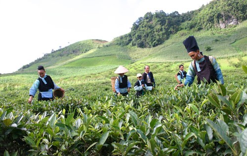 Mobiliser les ressources pour développer les régions montagneuses - ảnh 2