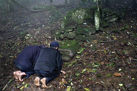 L'hommage au génie de la forêt - ảnh 1