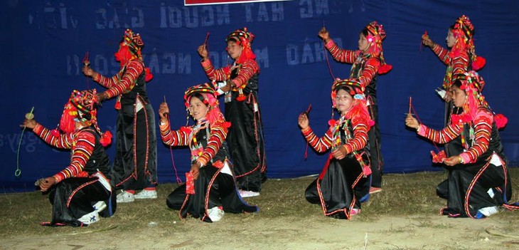 Un peuple de musiciens et de danseurs - ảnh 1