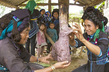 Khu già già - la fête des moissons - ảnh 2