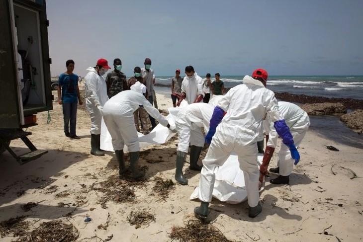 Migrants: des centaines de naufrages près de la Crète, 117 corps en Libye - ảnh 1