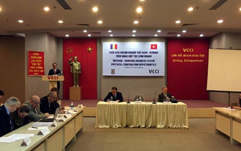 Forum d’entreprises Vietnam-Roumanie à Ho Chi Minh-Ville - ảnh 1