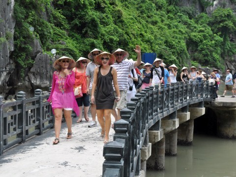 Le secteur du tourisme souffle ses 56 bougies - ảnh 1