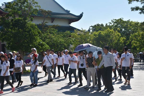 Des jeunes Vietkieu se rendent à Danang  - ảnh 1