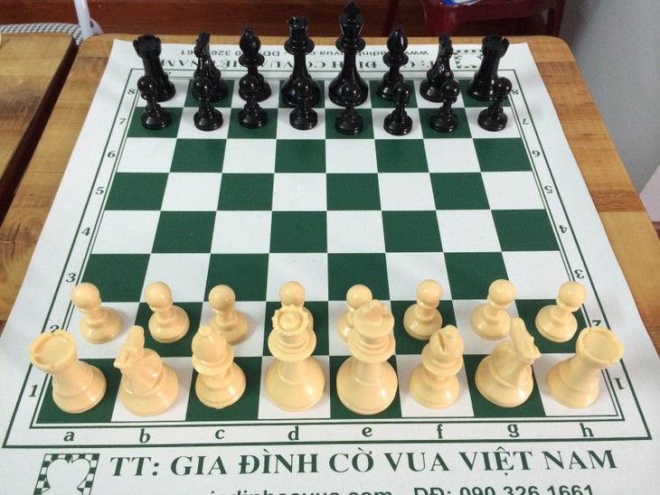 Les échecs au Vietnam - ảnh 1