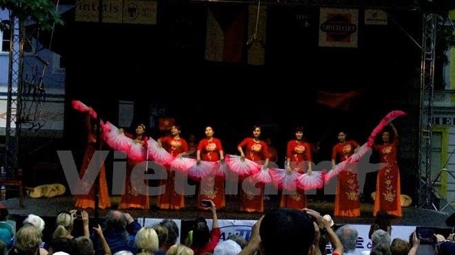 La danse vietnamienne au Festival international de folklore de Písek - ảnh 1