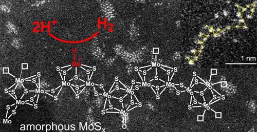 Trần Đình Phong, un scientifique de renom  - ảnh 2