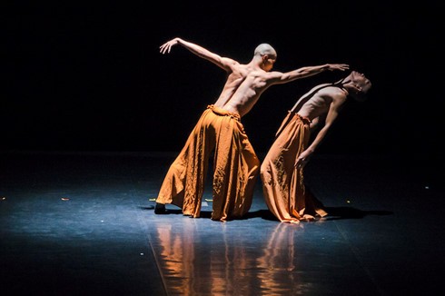 Festival international de danse contemporaine - ảnh 1