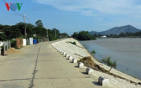 Agriculture: comment le Vietnam s’adapte-t-il au changement climatique? - ảnh 2