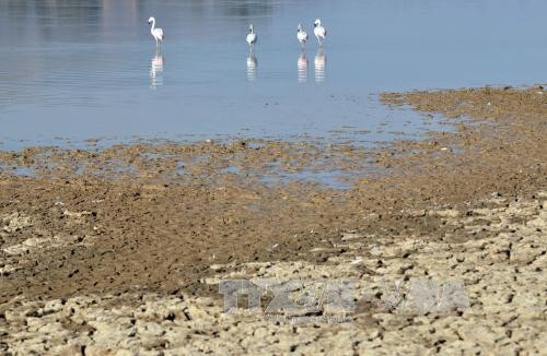 L’Inde, troisième pollueur mondial, a ratifié l’accord de Paris sur le climat - ảnh 1