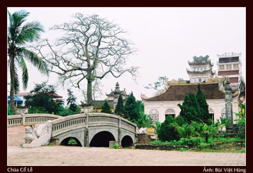 Nam Dinh, une terre riche en patrimoine - ảnh 1