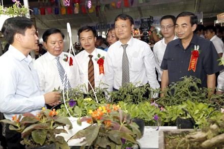 Ouverture de la foire aux marchandises industrielles des zones rurales du Nord  - ảnh 1