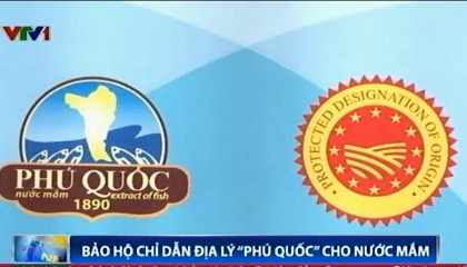 L’IG l’outil indispensable pour exporter les produits vietnamiens en Europe - ảnh 1