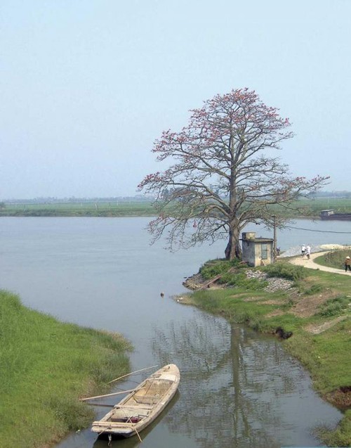 Le village Hành Thiên, un village pas comme les autres - ảnh 3