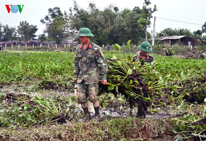 Rizières en danger: les soldats et les jeunes se mobilisent - ảnh 4