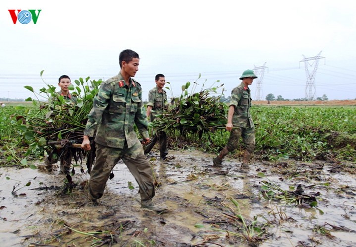 Rizières en danger: les soldats et les jeunes se mobilisent - ảnh 5