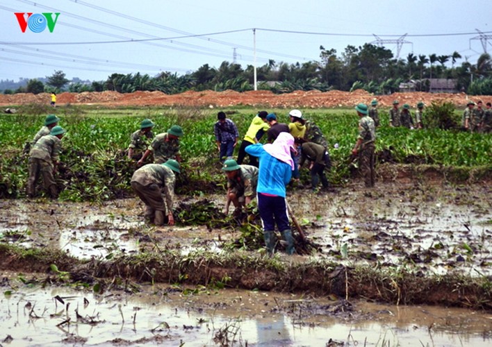 Rizières en danger: les soldats et les jeunes se mobilisent - ảnh 7