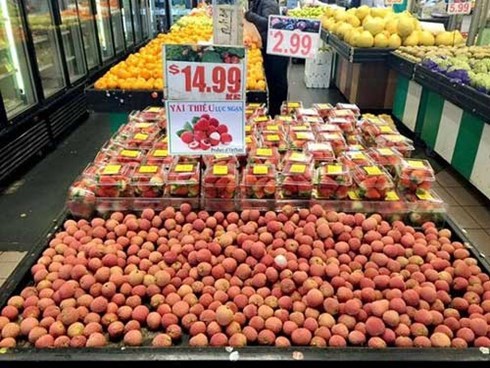 Créer une place digne des fruits du Vietnam sur le marché mondial - ảnh 1