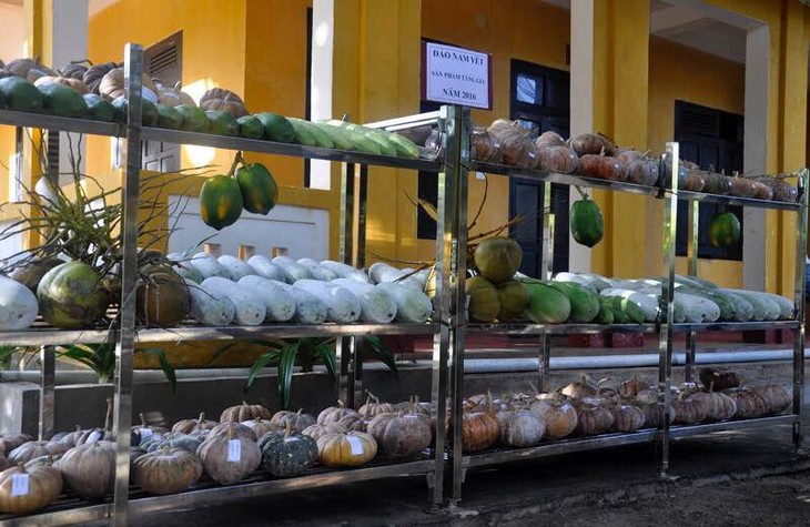 Un Tet chaleureux dans le district insulaire de Truong Sa - ảnh 3