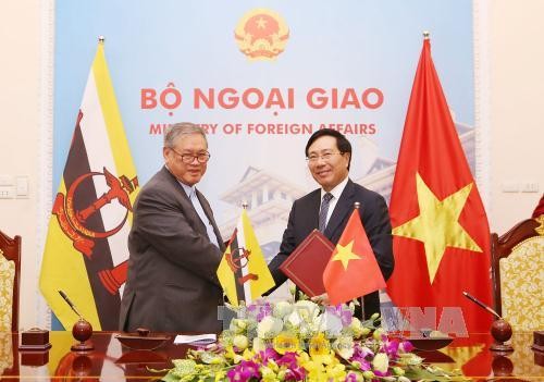 1ère réunion de la commission de coopération Vietnam-Brunei - ảnh 1