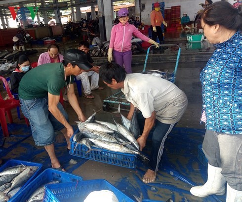 Quang Tri: premières virées de l’année lunaire  - ảnh 1