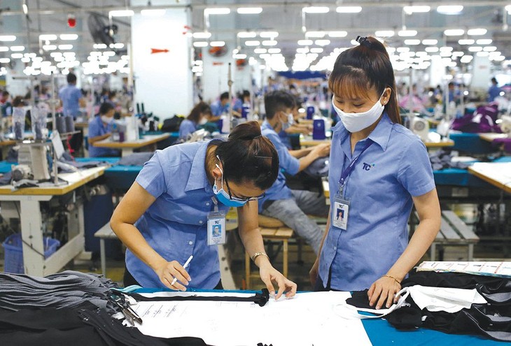 Quelle est l’importance du textile au Vietnam? - ảnh 1