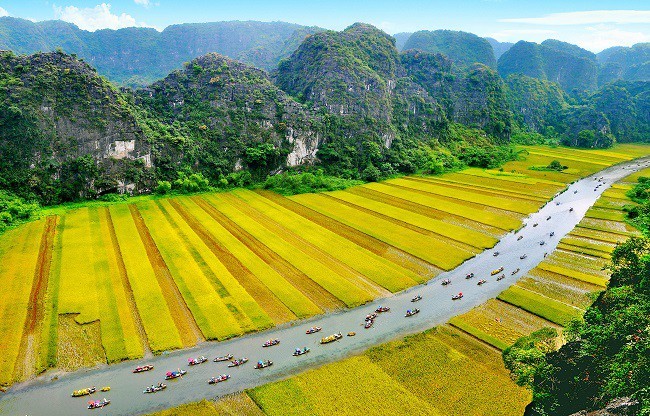 Un Vietnam original dans l’objectif des photographes vietnamiens et étrangers - ảnh 14