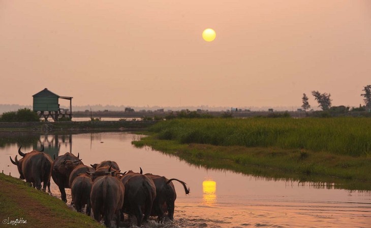 La splendeur de la lagune de Chuôn à Huê - ảnh 14